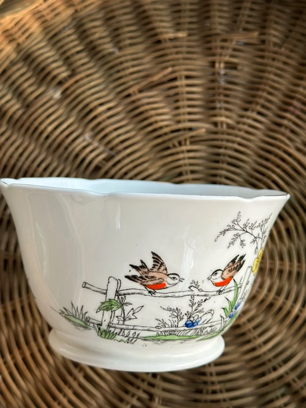 Vintage English Bone China Tea Bowl Saucer Bird Cottagecore Gold Trim